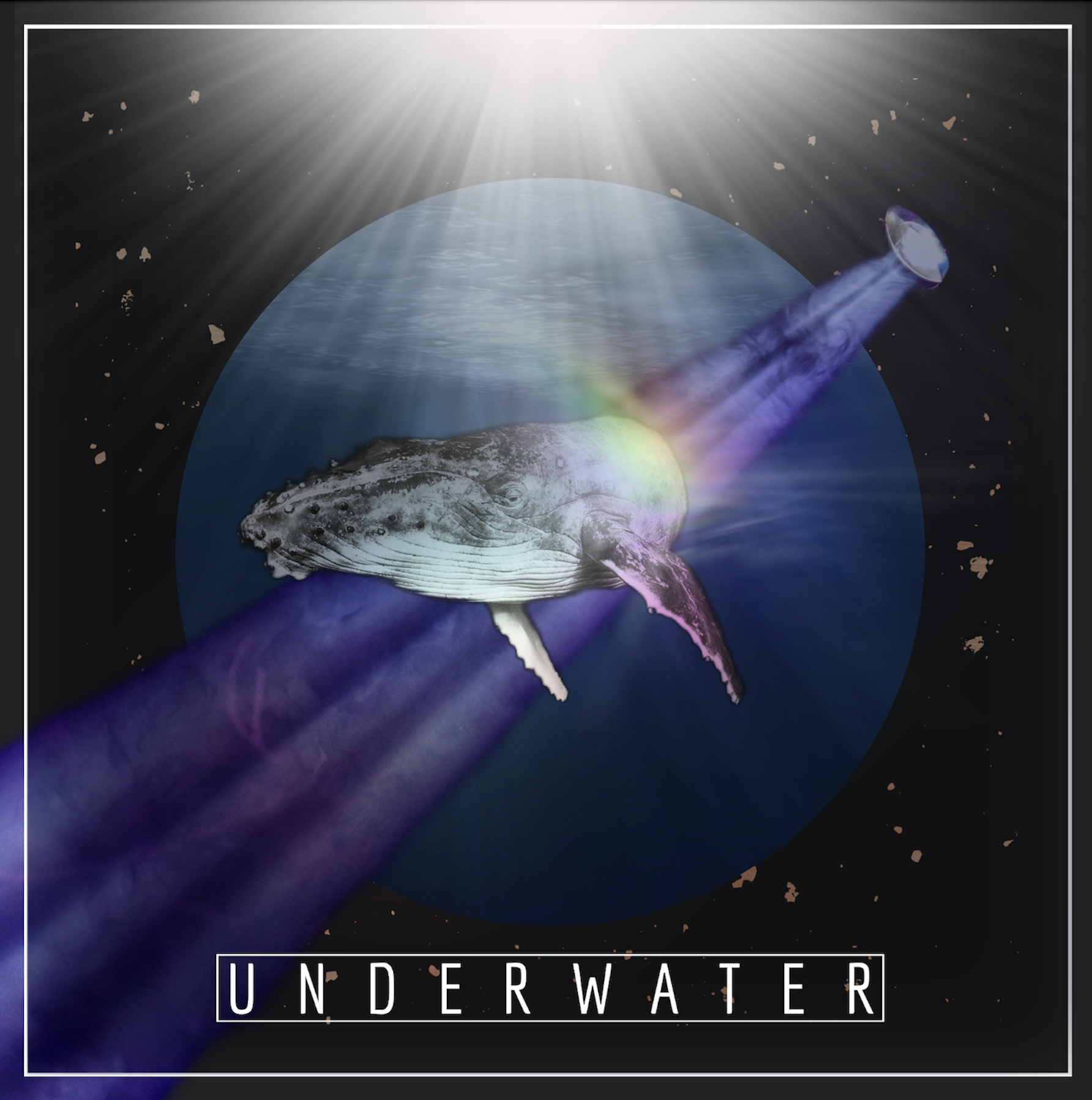 whale swimming and light hitting it, MOC CD cover for a whale song hit